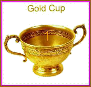 a winners  cup
